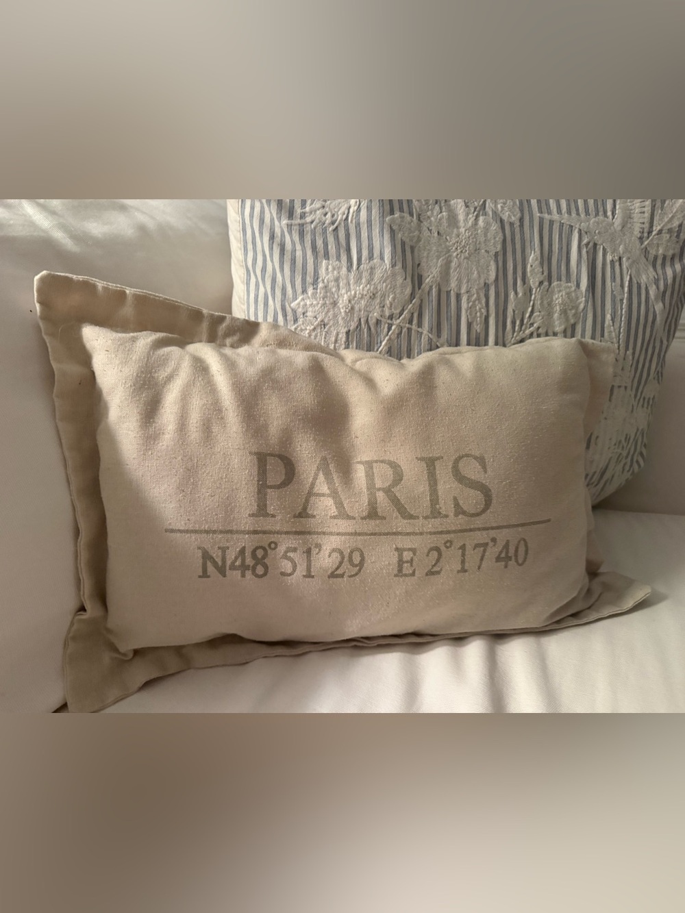 Throw Pillow with Pillowcase Removable Cover